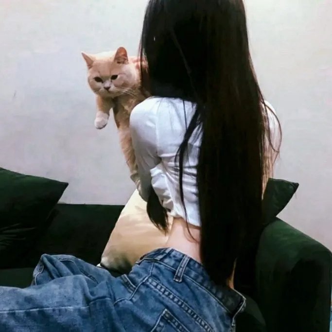 糊涂拍档