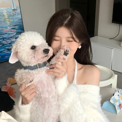 铁骑士
